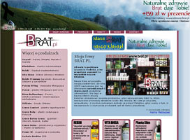 Strona internetowa - tworzenie stron - brat
