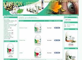 Strona internetowa - tworzenie stron - vision